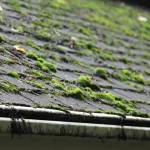 Moss Removed from a Roof